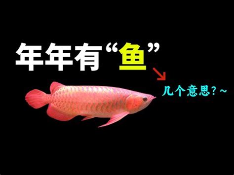 魚 意思|魚的意思，魚字的意思